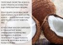 Кокосовый орех - калорийность, полезные свойства и вред Кокосовый орех в кулинарии